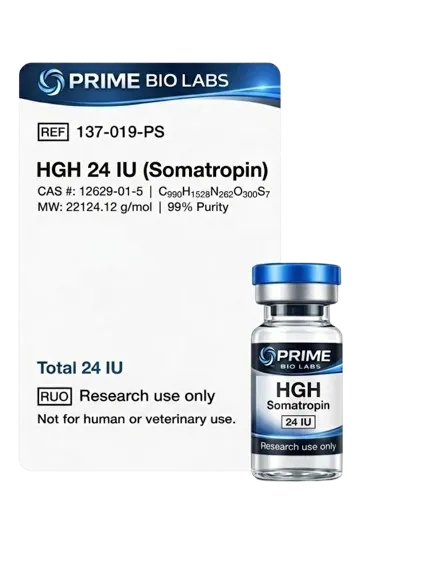 HGH (24 UI)
